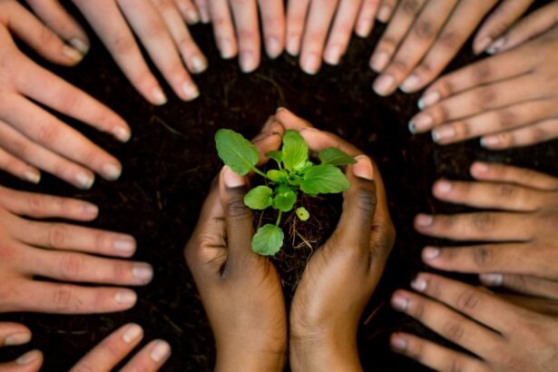 Corporate Social Responsibility (CSR)