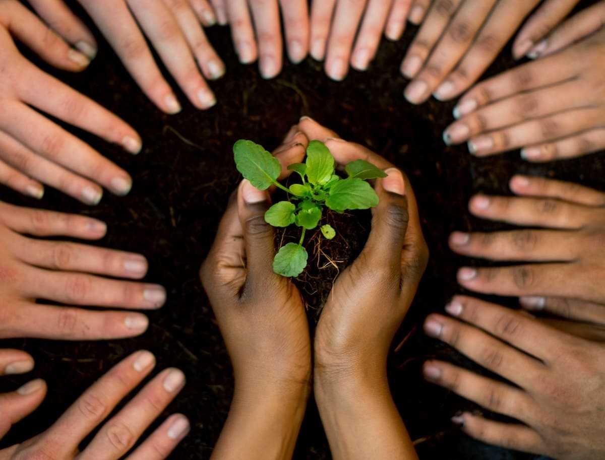 Corporate Social Responsibility (CSR)